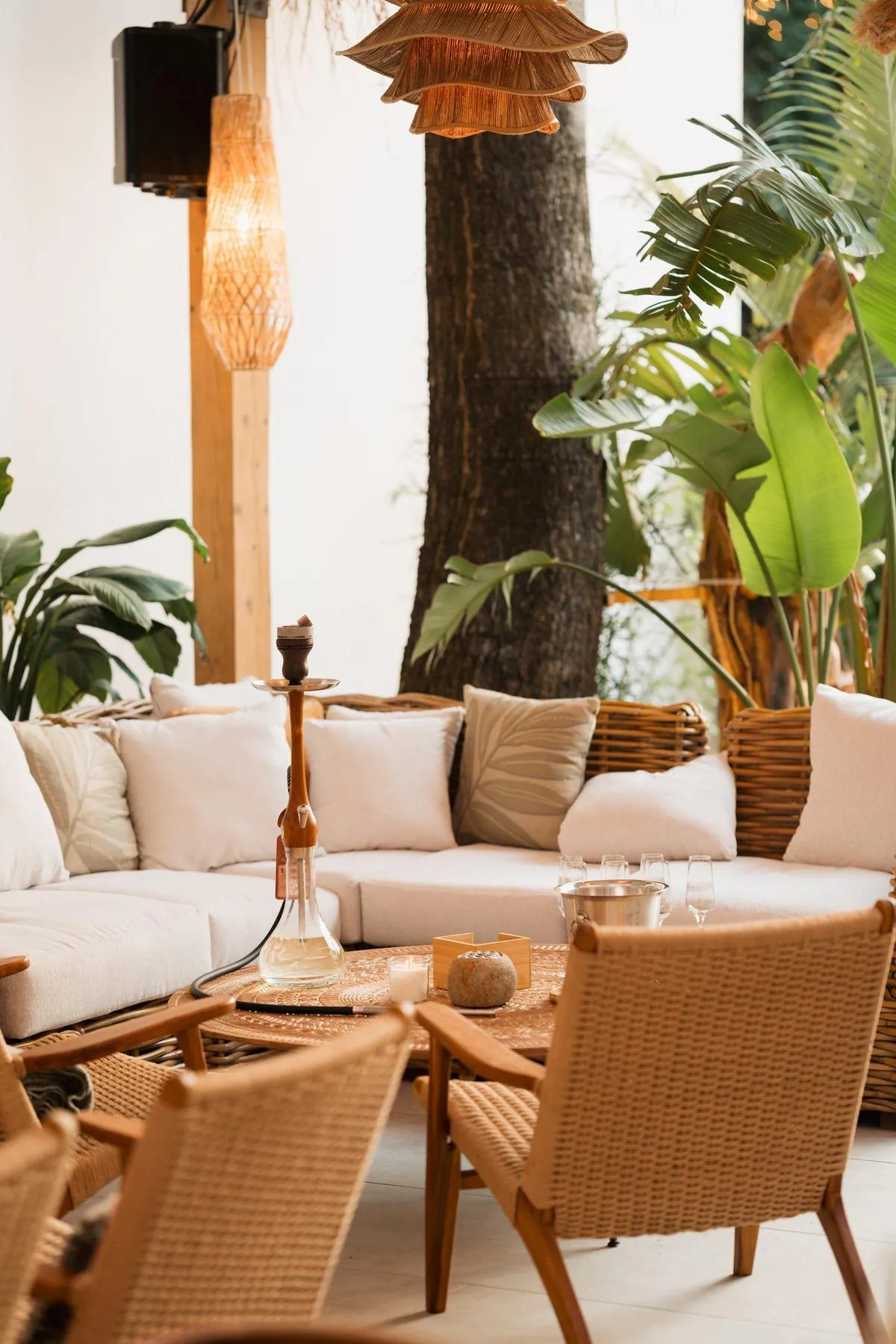 Coltul cu mobilier din ratan si plante tropicale de pe terasa Komodo Lounge din Floreasca
