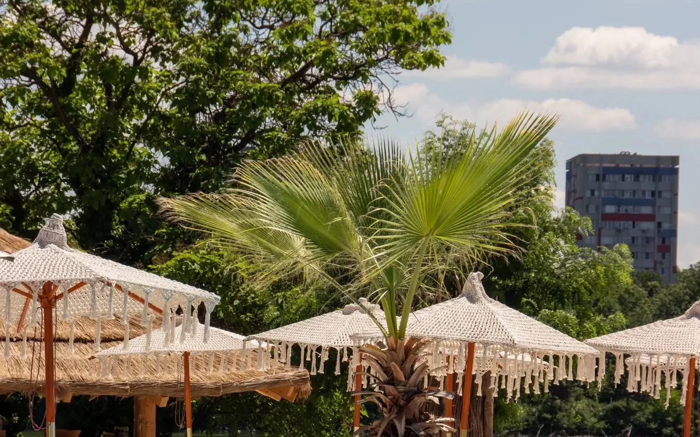 Guava — piscina, umbrele si palmieri pe malul lacului Floreasca