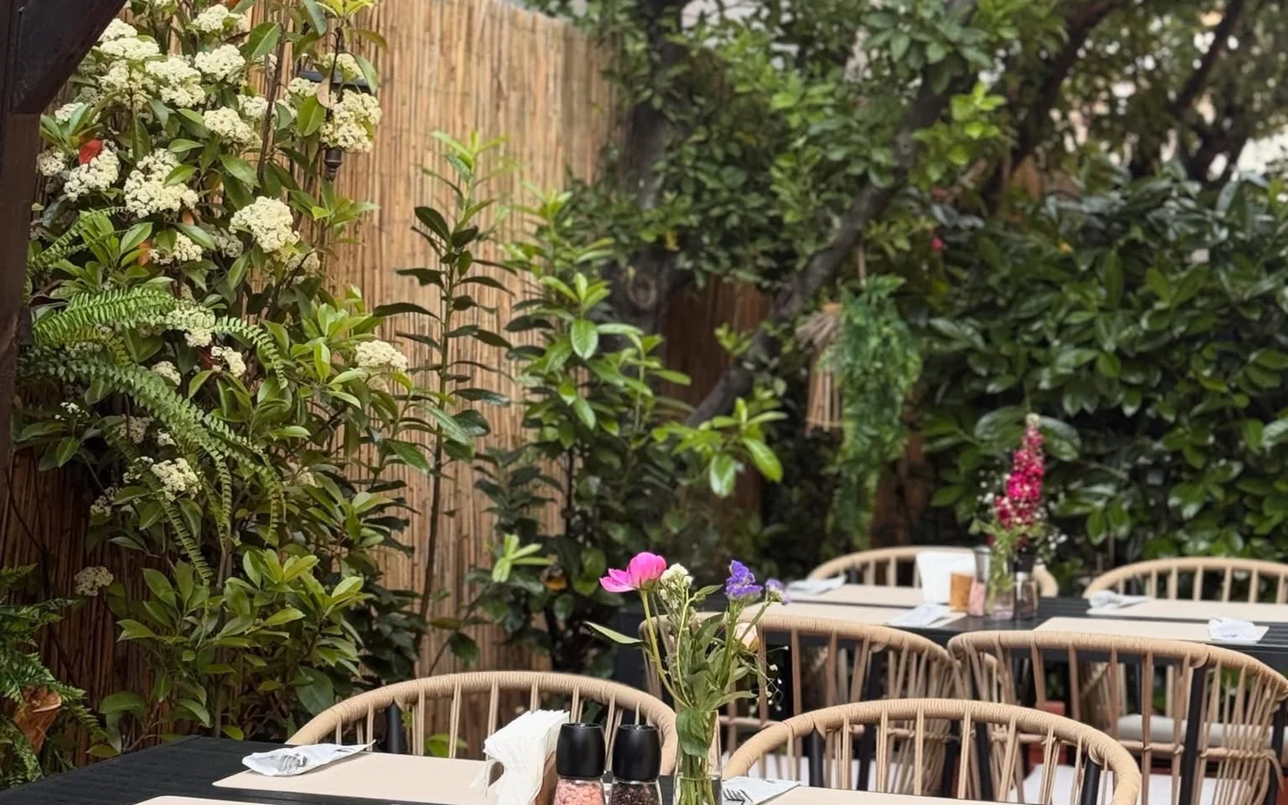 Rare Garden — gradina urbana cu scaune din ratan si flori de camp